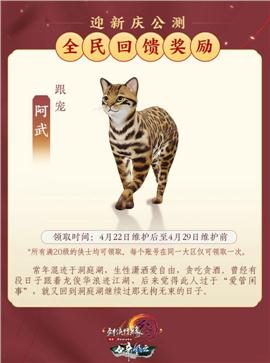 天龙八部私服飞讯